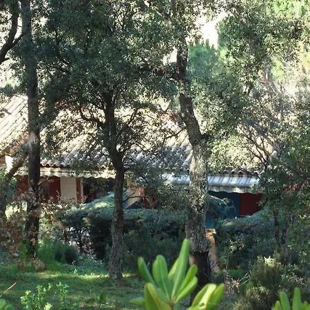 Magnifique Mazet Dans Le Golfe De St-tropez
